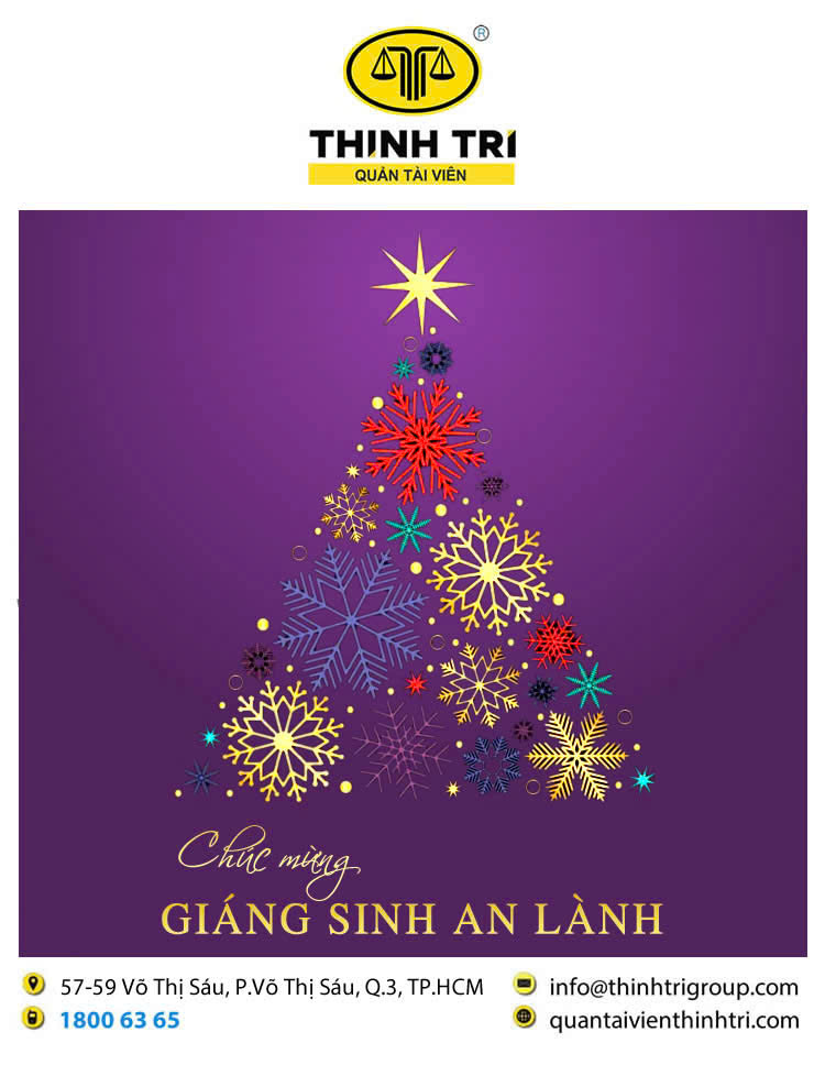 CÔNG TY HỢP DANH QUẢN LÝ VÀ THANH LÝ TÀI SẢN THỊNH TRÍ CHÚC MỪNG GIÁNG SINH AN LÀNH 2024